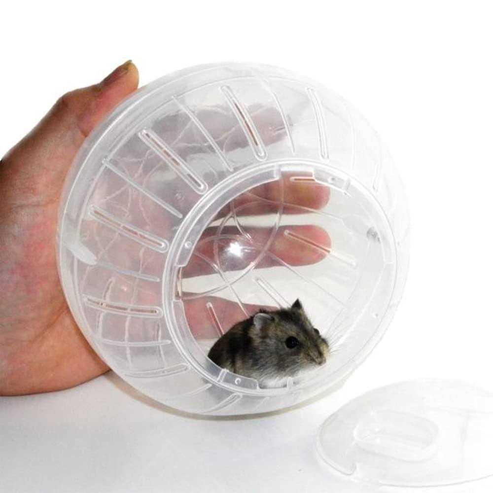 Transparent Hamster Exercise Ball for Small Pets L202