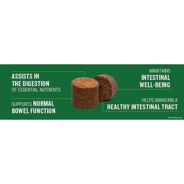 Probiotic Soft Chew Supplement for Dogs B83802