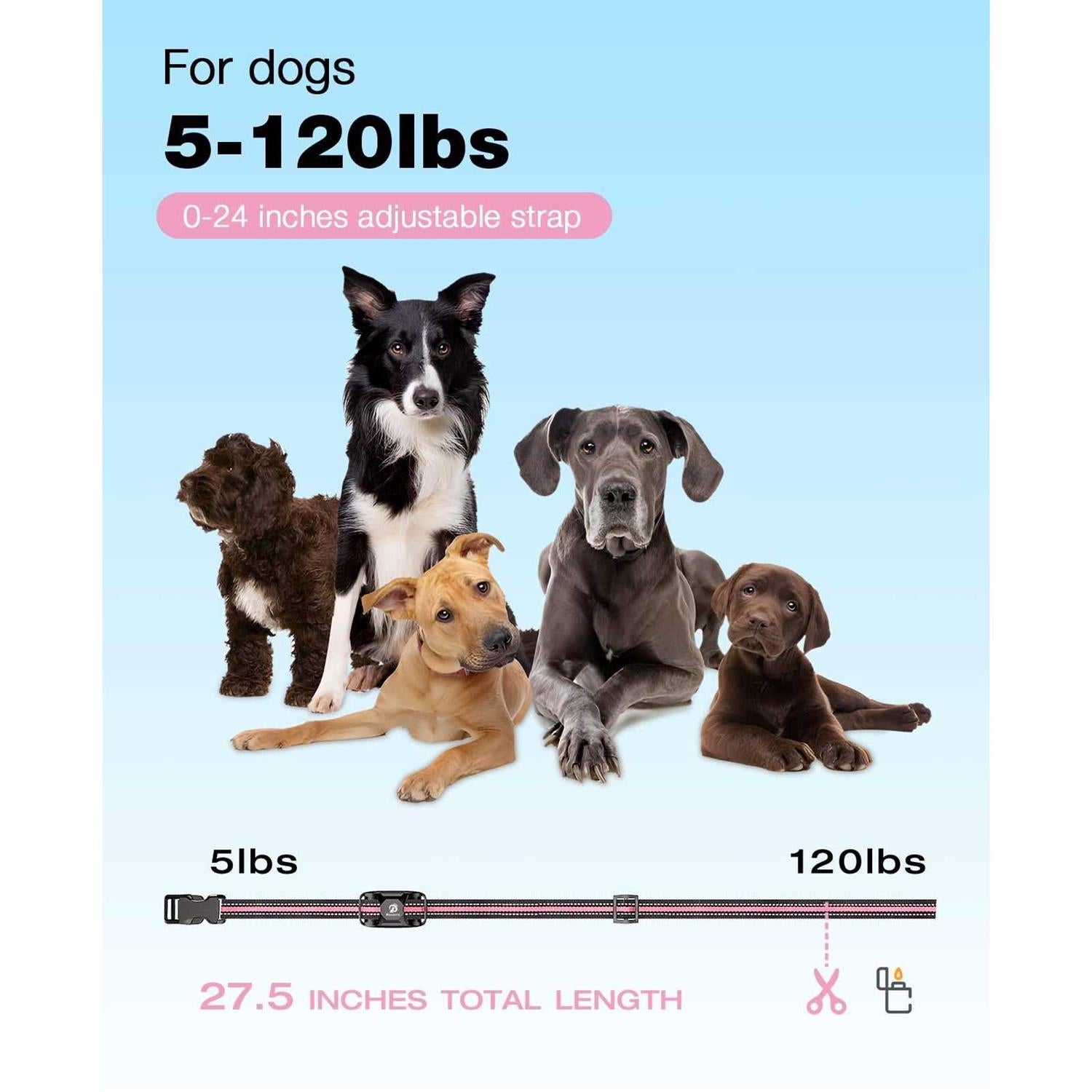 Dog Training Collar with Remote for Small Medium Large Dogs O421547