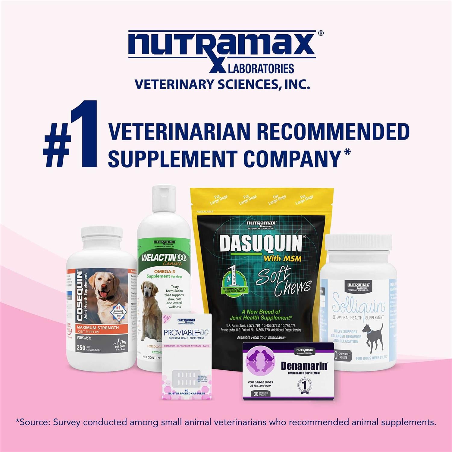 Health Supplement Kit for Dogs T201