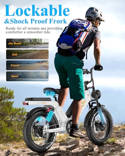 Electric Bike 48V 60Ah Commuting Bicycle for Adults U10963