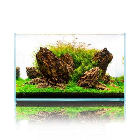 20 Gallon Ultra Clear Rimless Aquarium I28034