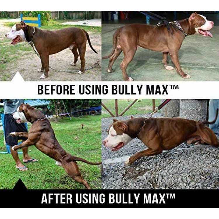 Canine Supplement for Dogs M86050