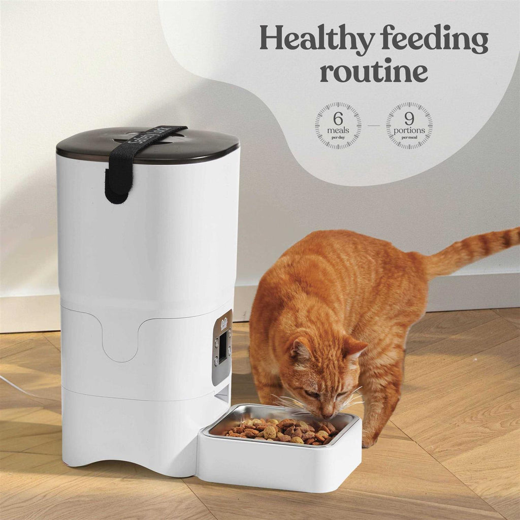Automatic Cat Feeder with LCD Screen and Portion Control Y574318