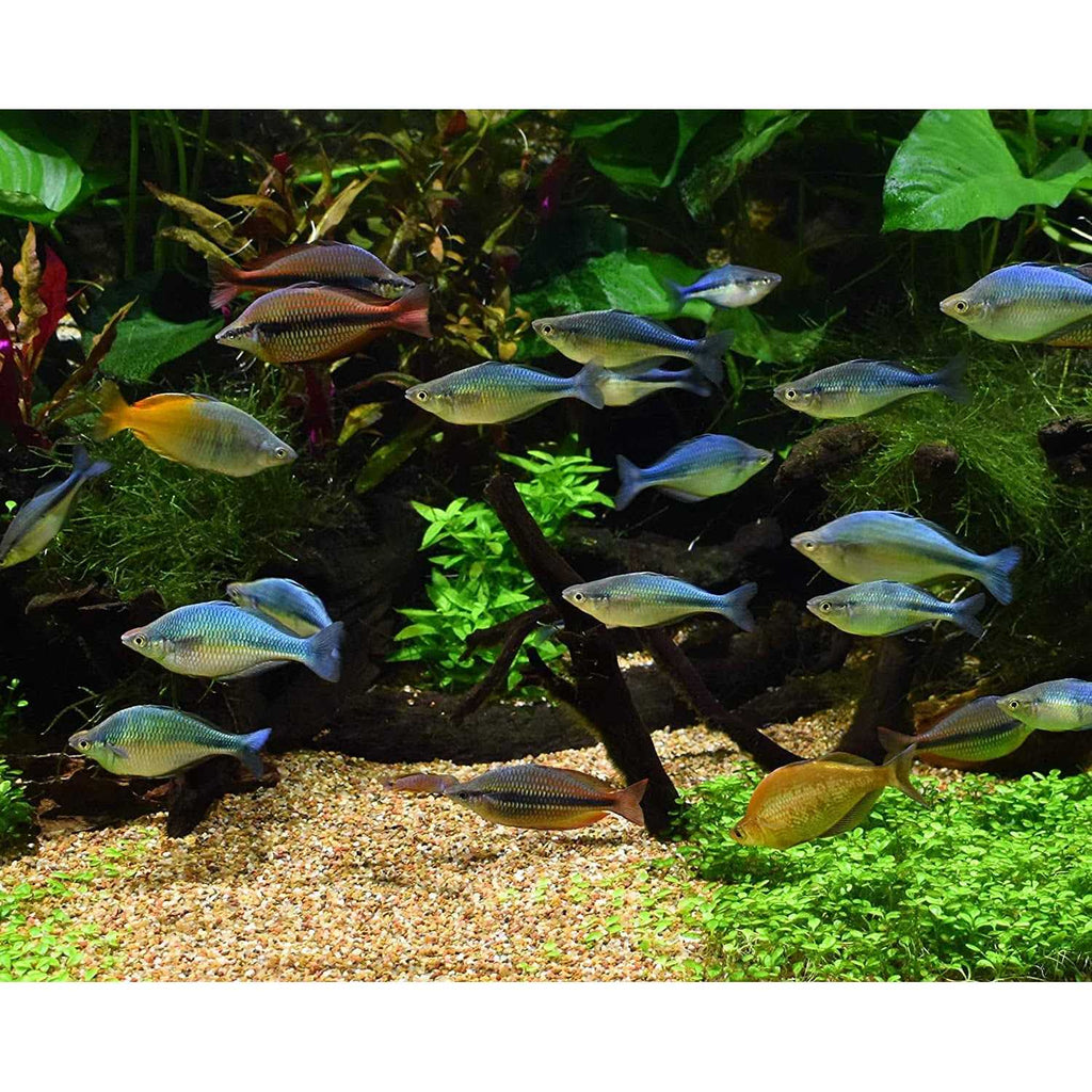 Alkaline Buffer for Aquariums W3766