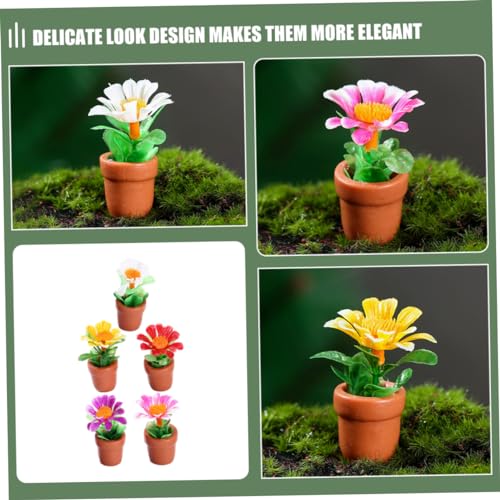 Mini Plant Model Bonsai Decor for Dollhouse U66429
