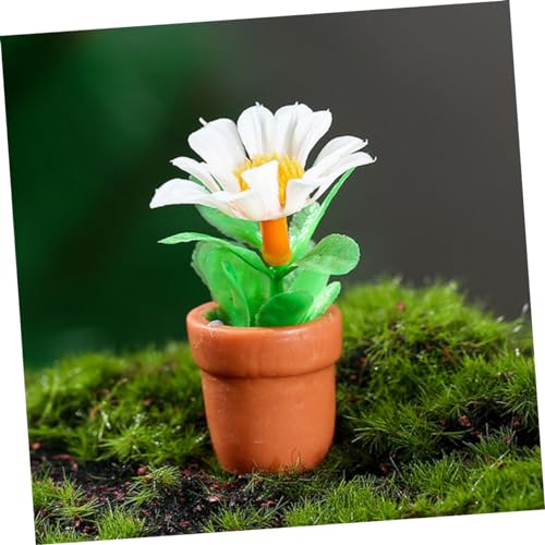 Mini Plant Model Bonsai Decor for Dollhouse U66429