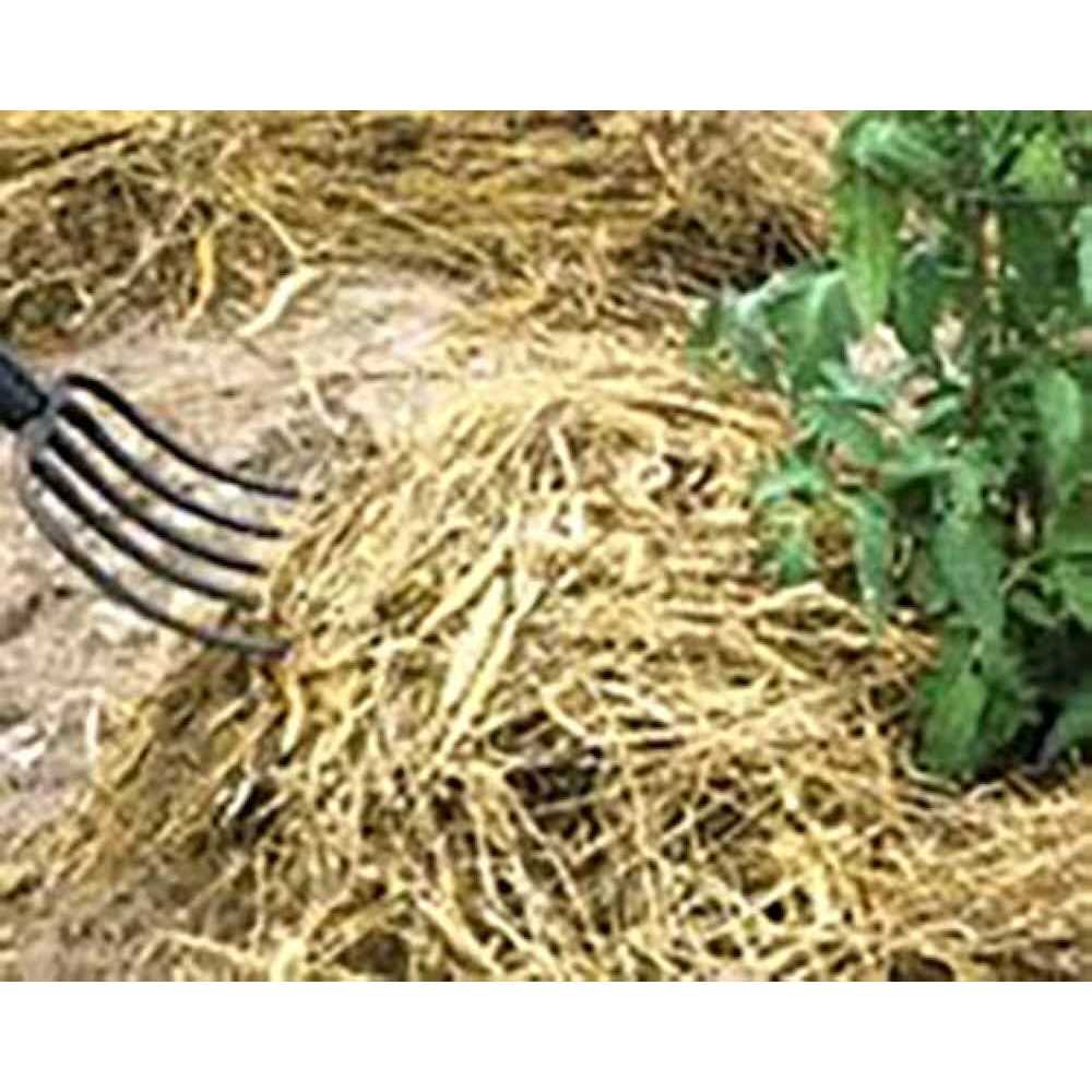 Straw Bale for Pets N666