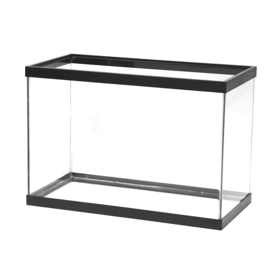 Glass Rectangle Aquarium K691564