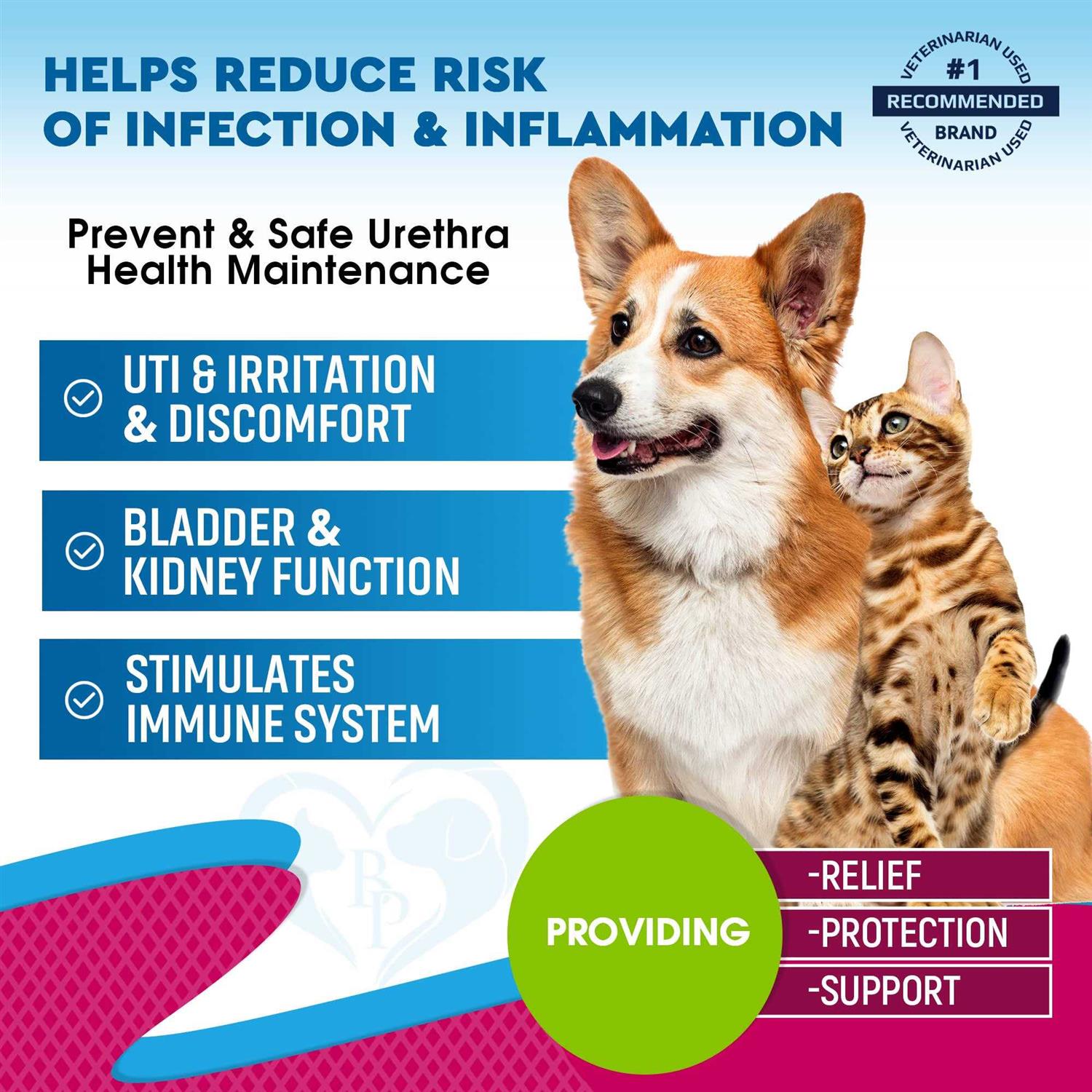Urinary Tract Infection Treatment for Cats & Dogs with Cranberry M4070
