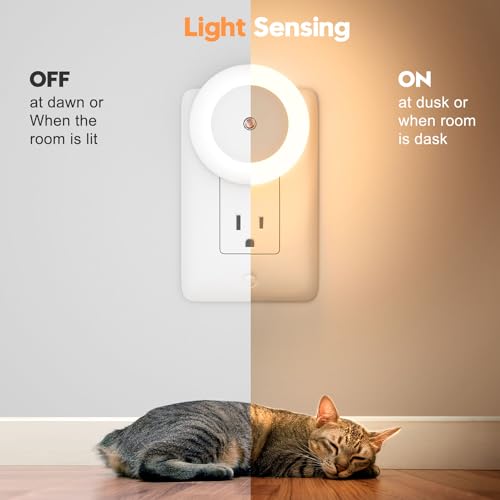 Amber LED Night Light Plug into Wall, Dusk to Dawn Sensor, 2 Pack I155295