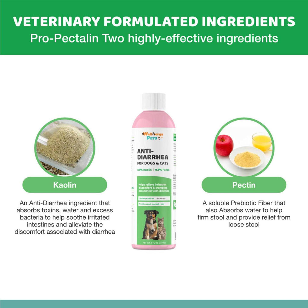 Anti-Diarrhea for Dogs & Cats U2858