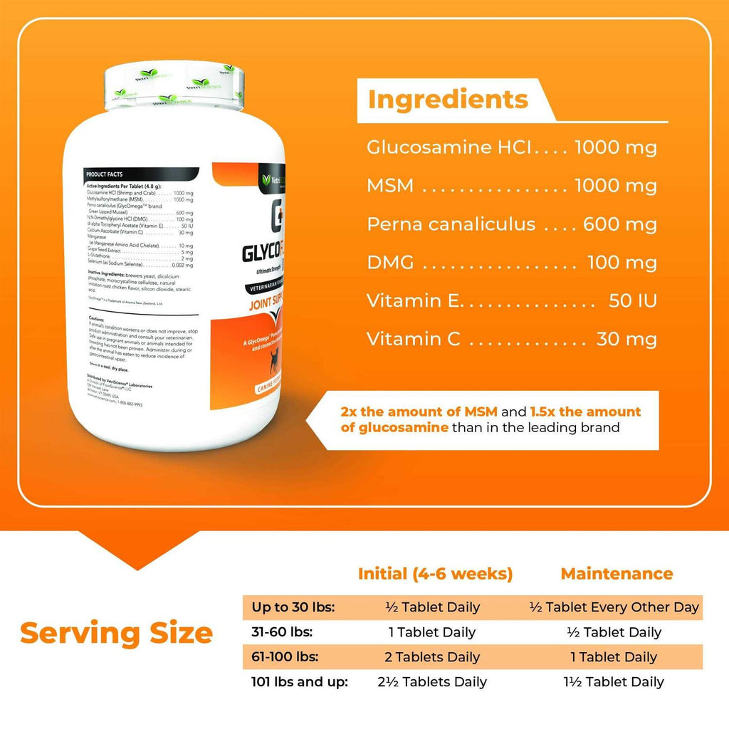 Joint Care Chews for Dogs B133004