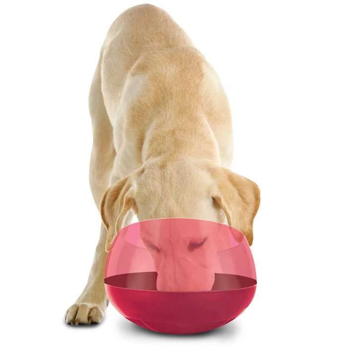 Rocking Slow Feeder Dog Bowl R9870