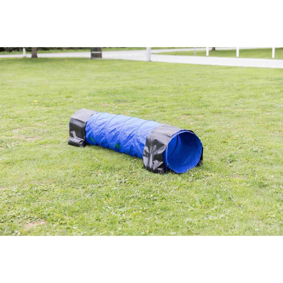 Agility Tunnel for Pets A91964