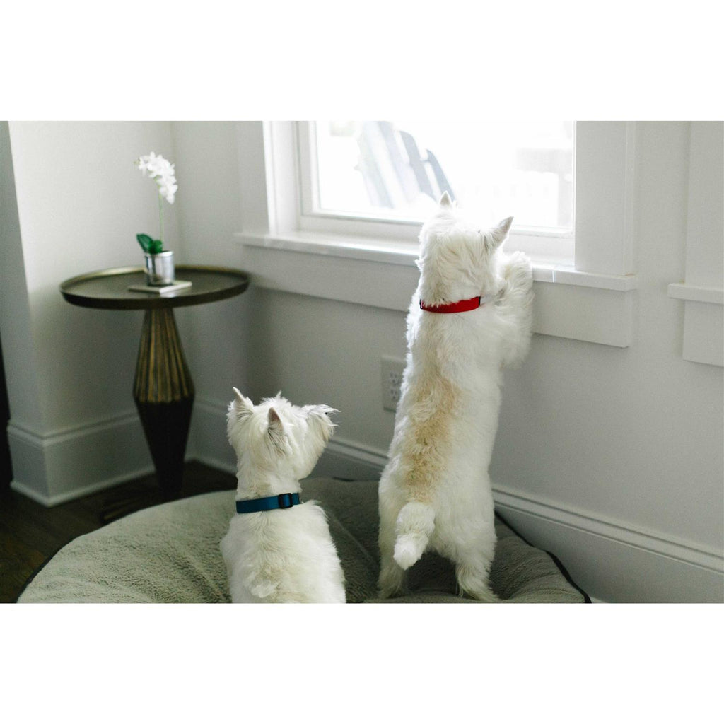 CLAWGUARD Window Sill Protector Strong Transparent Protection from Dog and Cat Scratching Chewing Slobbering and Clawing - Pet Supplies online store