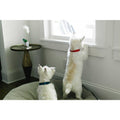 CLAWGUARD Window Sill Protector Strong Transparent Protection from Dog and Cat Scratching Chewing Slobbering and Clawing - Pet Supplies online store
