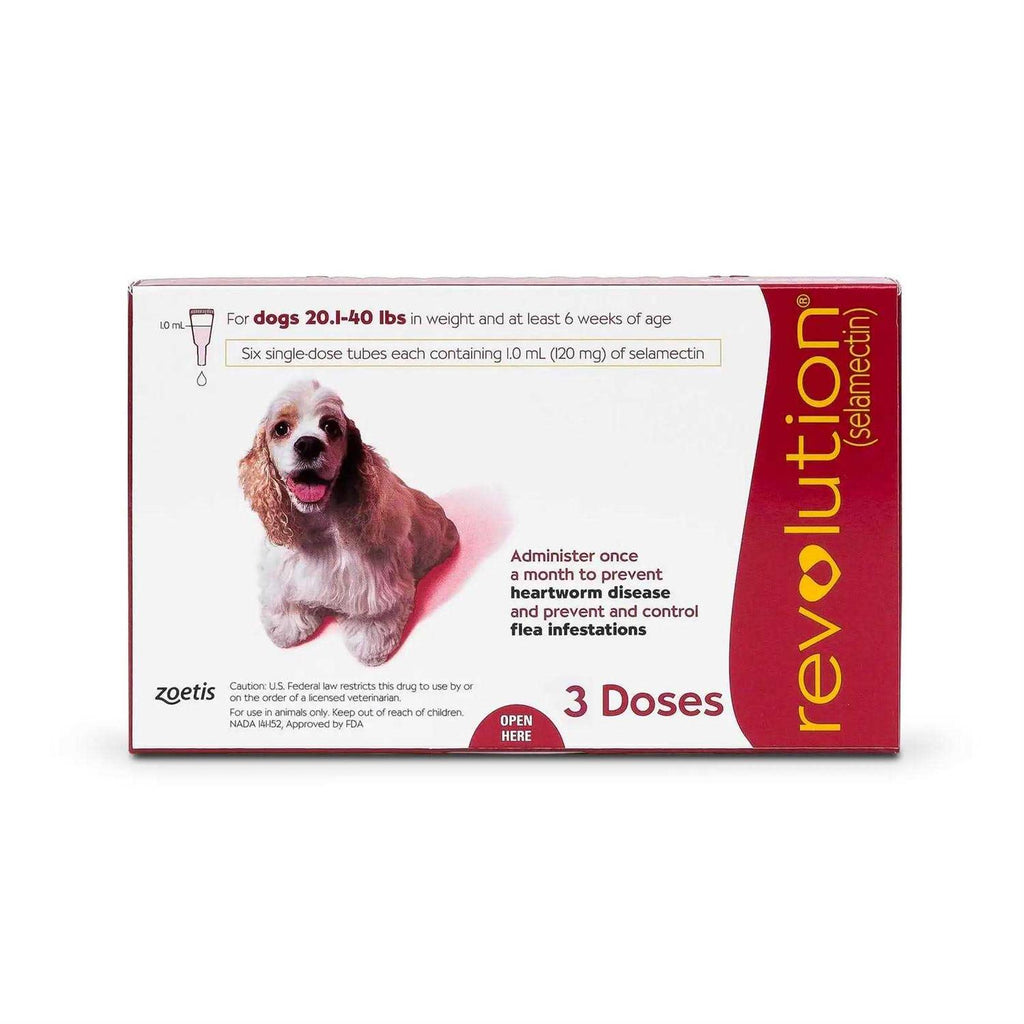 Dogs 5.1-10 lbs Pet Supplies E6438