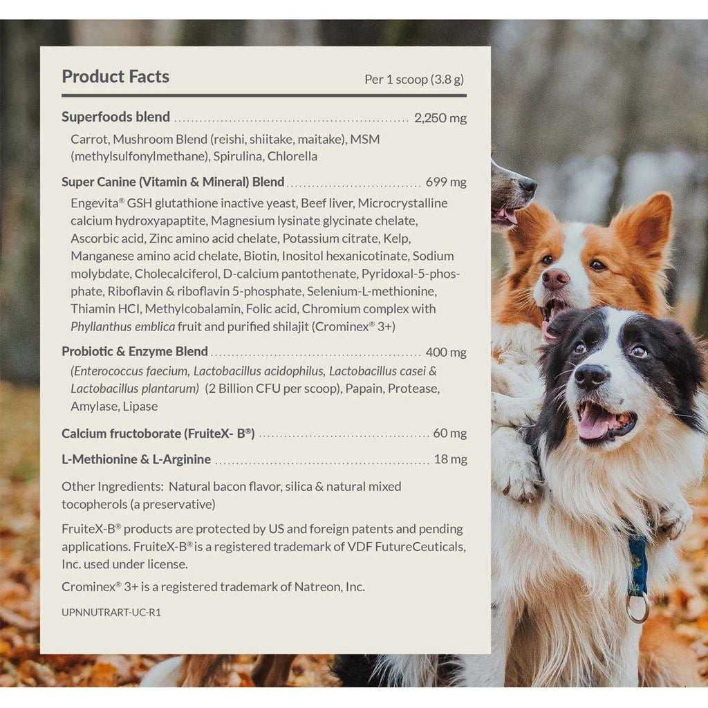 Multivitamin Powder Supplement for Dogs E60011