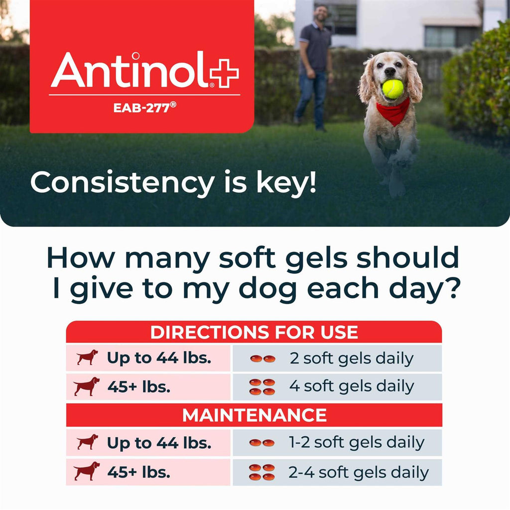 Pet Joint Supplement 60ct F79653