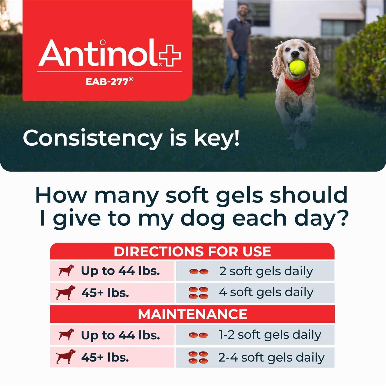 Pet Joint Supplement 60ct F79653