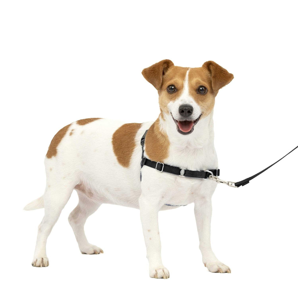 Dog Harness E8477