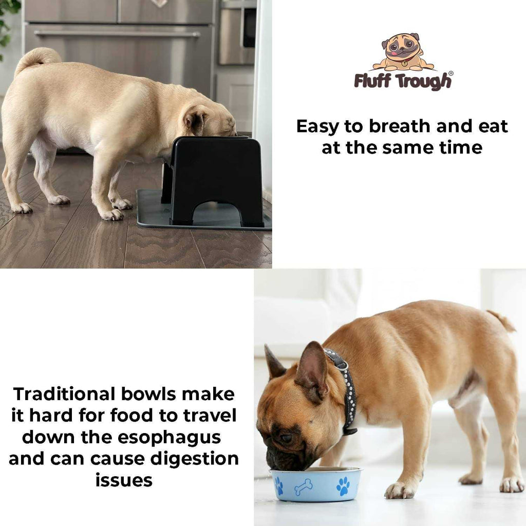 Elevated Dog & Cat Feeder N797