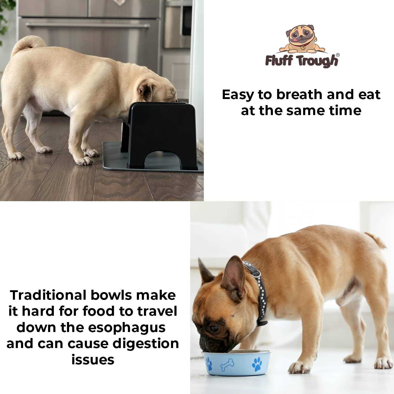 Elevated Dog & Cat Feeder N797