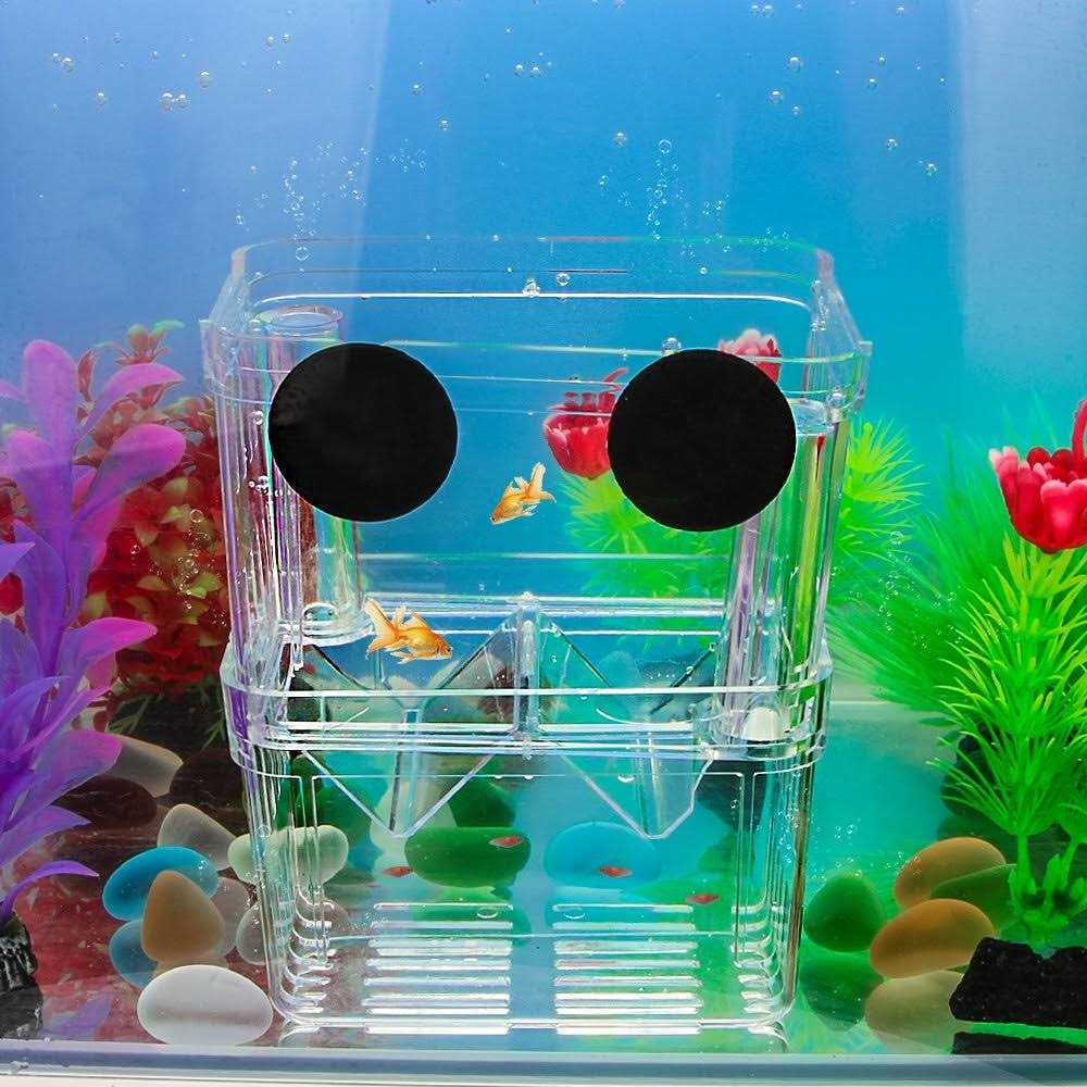 Aquarium Fish Breeder Box with Isolation and Hatching Incubator for Baby Fish and Shrimp L964354