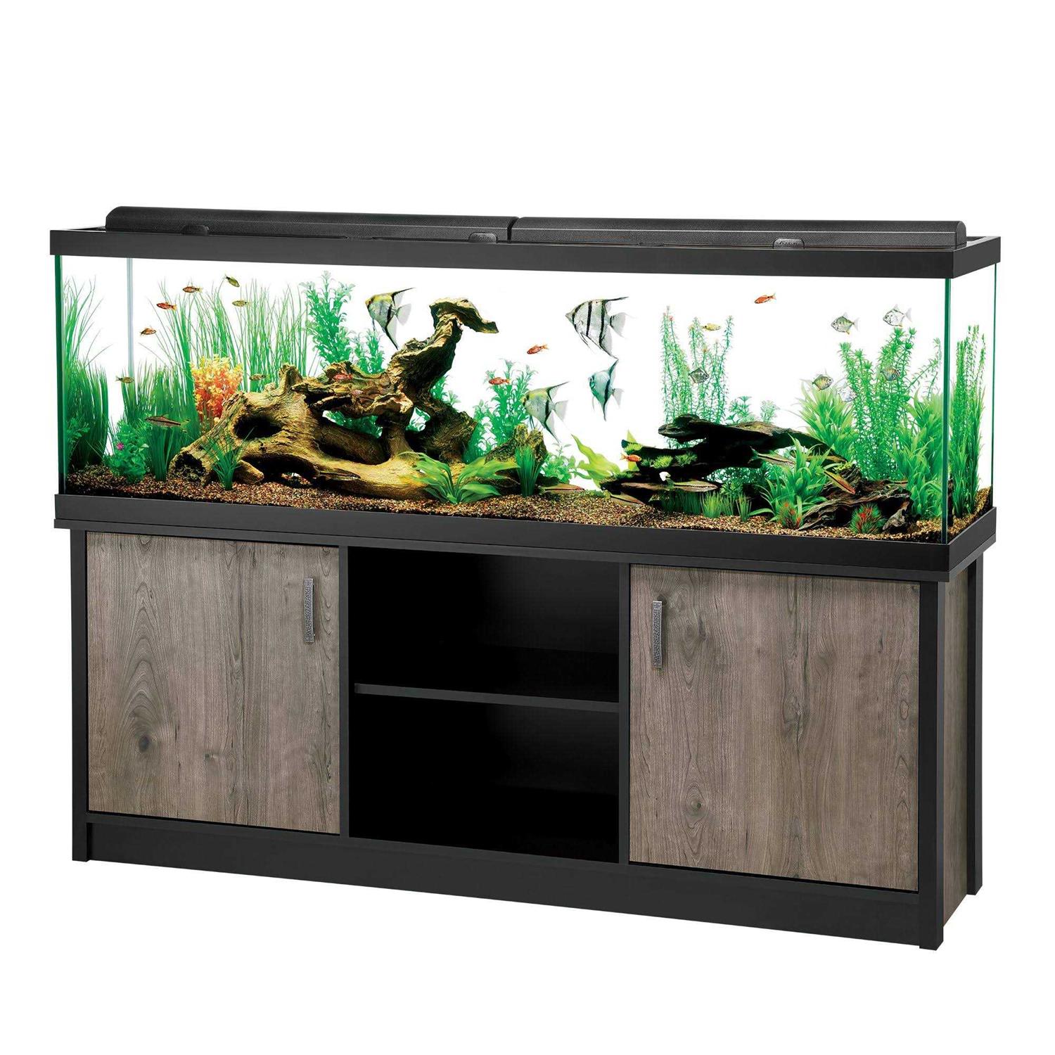 Aqueon LED Aquarium &amp; Stand Ensemble -allon - Pet Supplies online store
