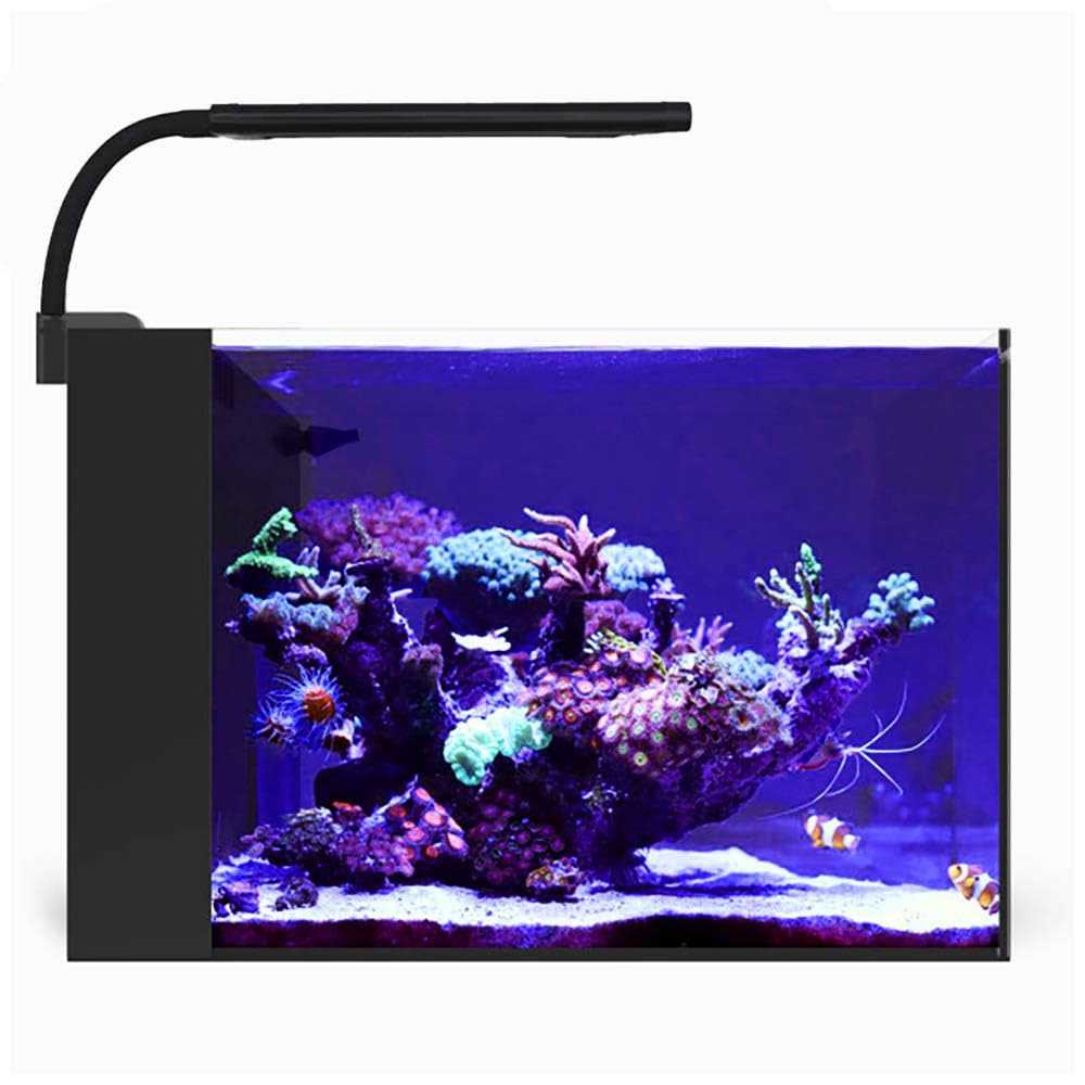 Orbit Marine NANO LED Light with Gooseneck Mount and Dynamic Controller E624914