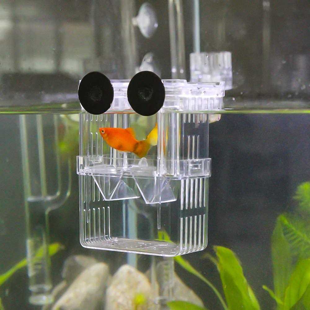 Aquarium Fish Breeder Box with Isolation and Hatching Incubator for Baby Fish and Shrimp L964354