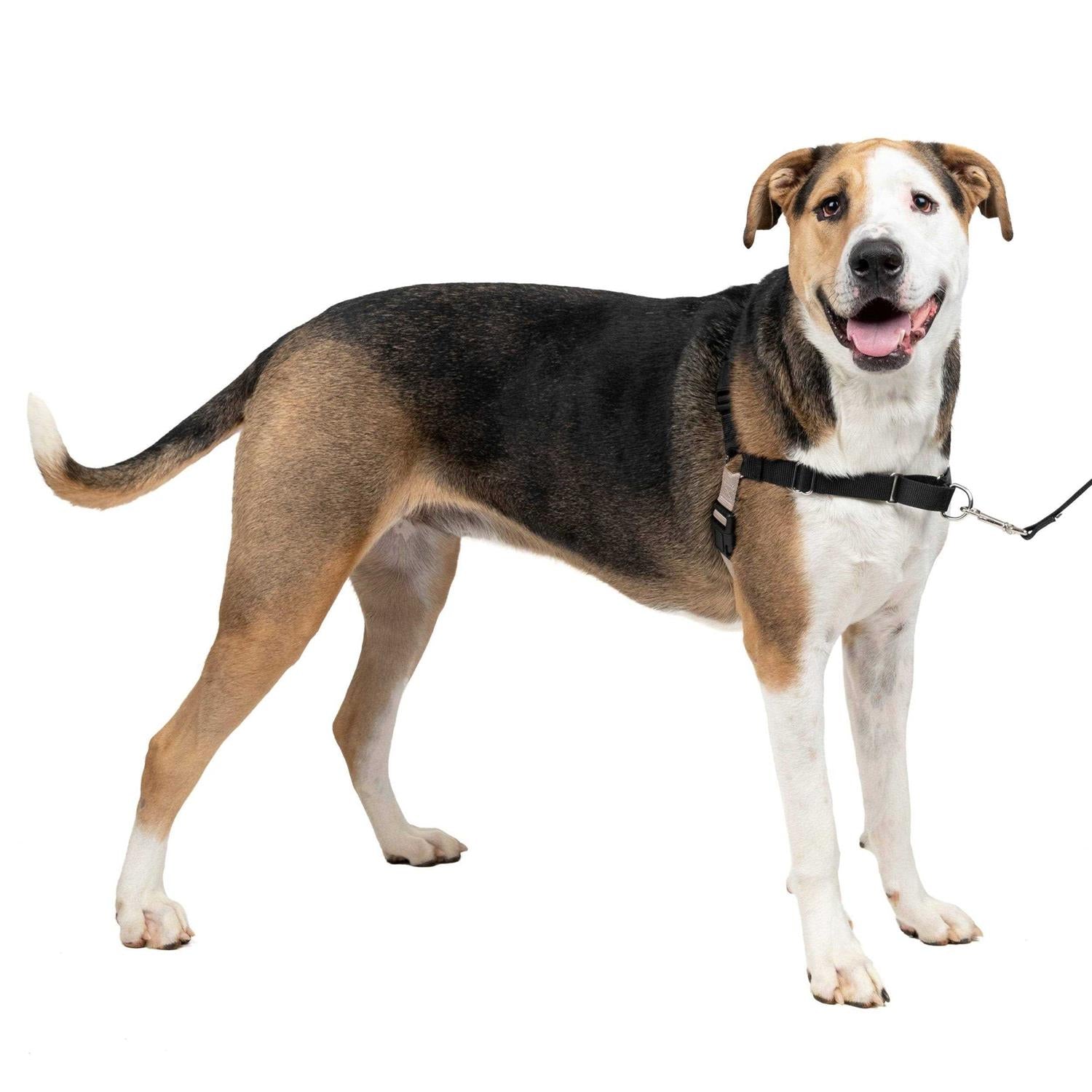 Dog Harness E8477