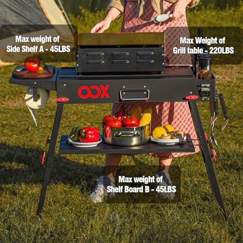 Portable Grill Table with Double-Shelf for Outdoor Prep, Folding Stand, Stainless Steel B81928
