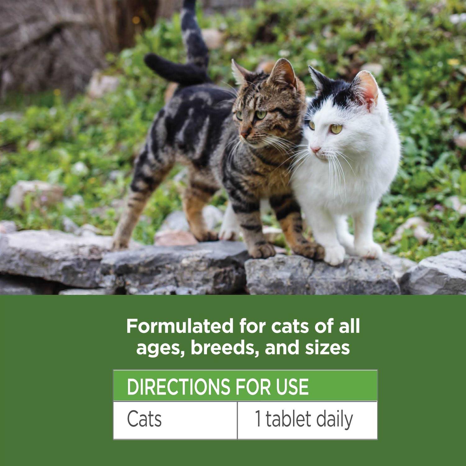 Oral Flea & Tick Chews for Cats 120 ct X567851