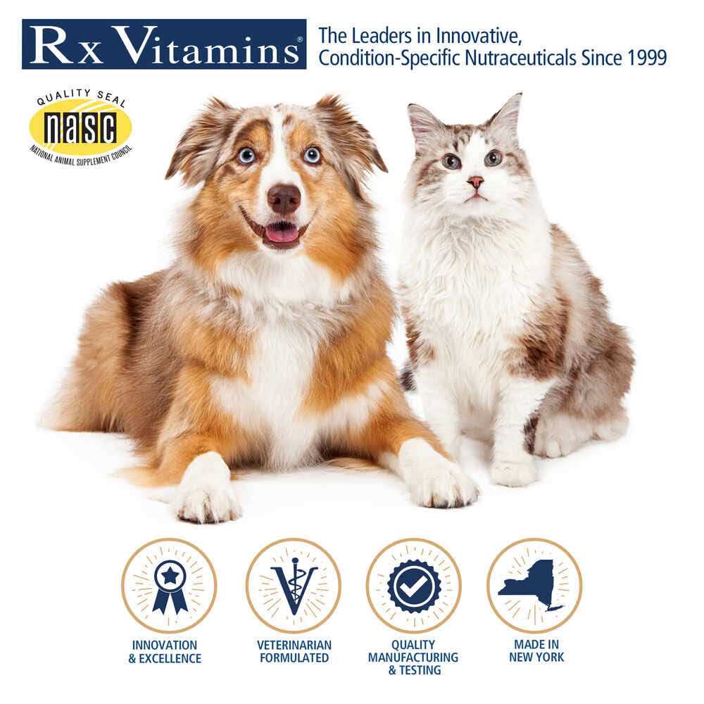 Rx Essentials for Dogs B3118