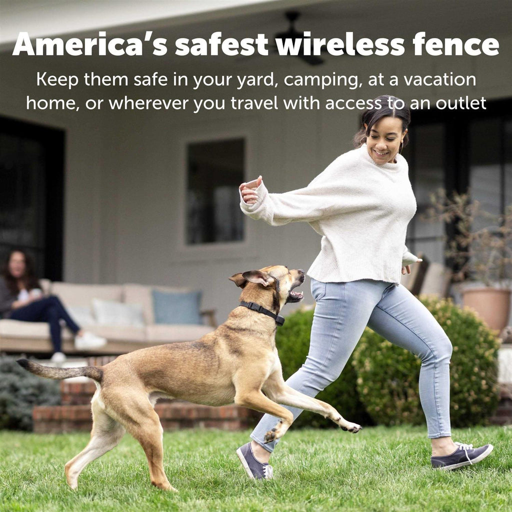 Wireless Fence Receiver Collar for Pets P5566