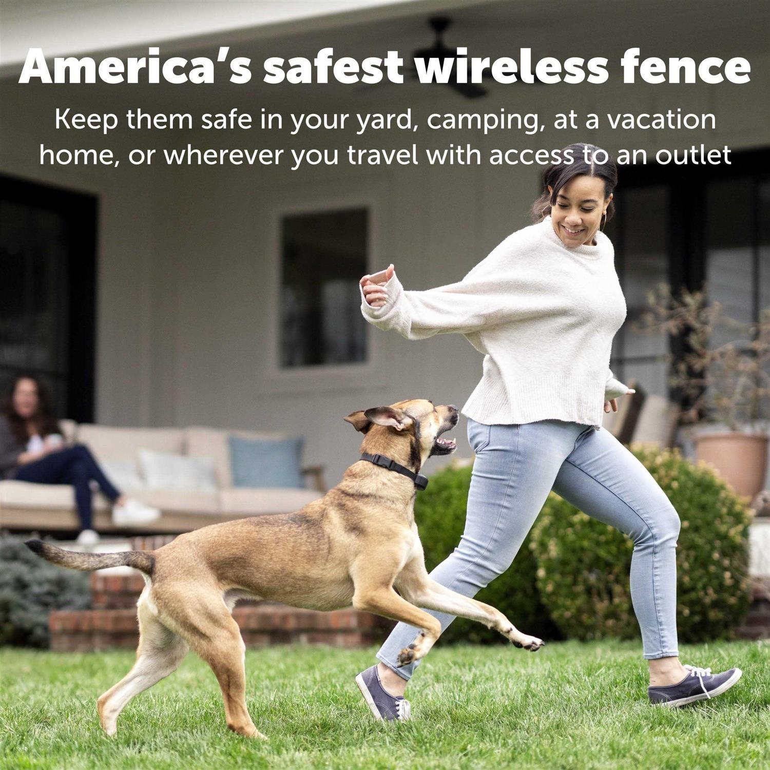 Wireless Fence Receiver Collar for Pets P5566