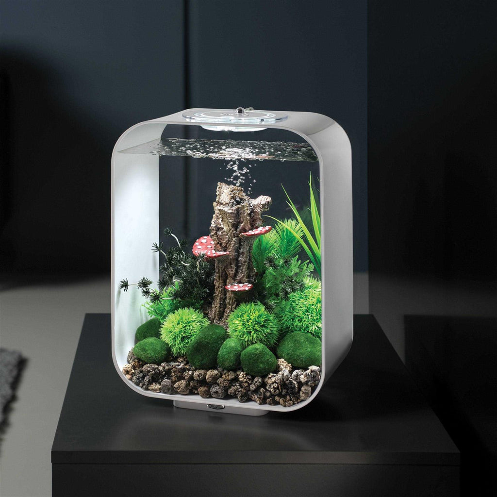 Aquarium with MCR Light I417638