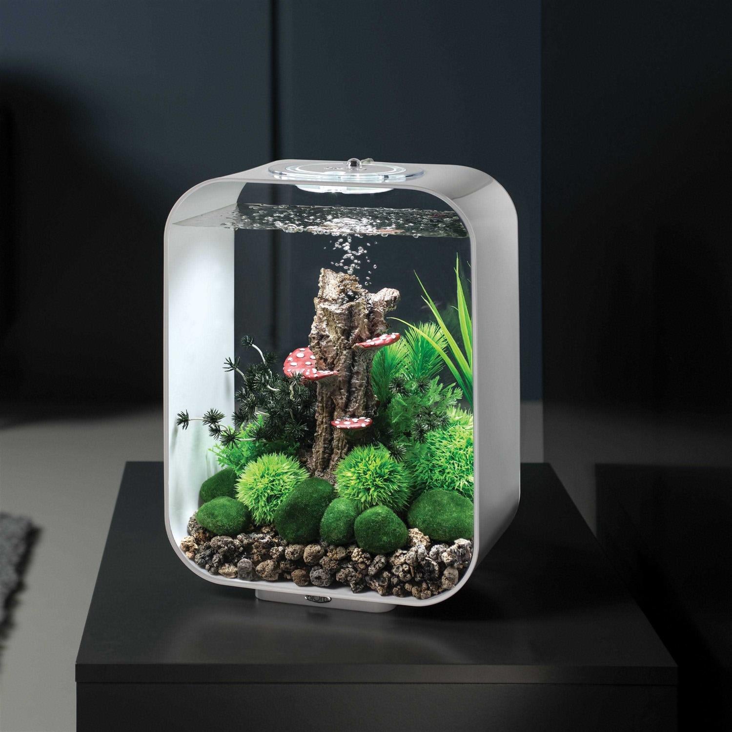 Aquarium with MCR Light I417638