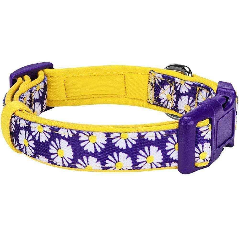 Dog Collar C415