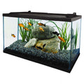 Tetra 10 Gallon Glass LED Aquarium Kit - Pet Supplies online store