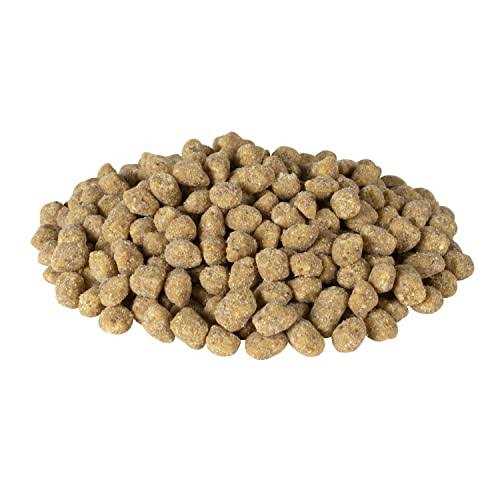 Bluebird Nuggets Pet Bird Food K89920