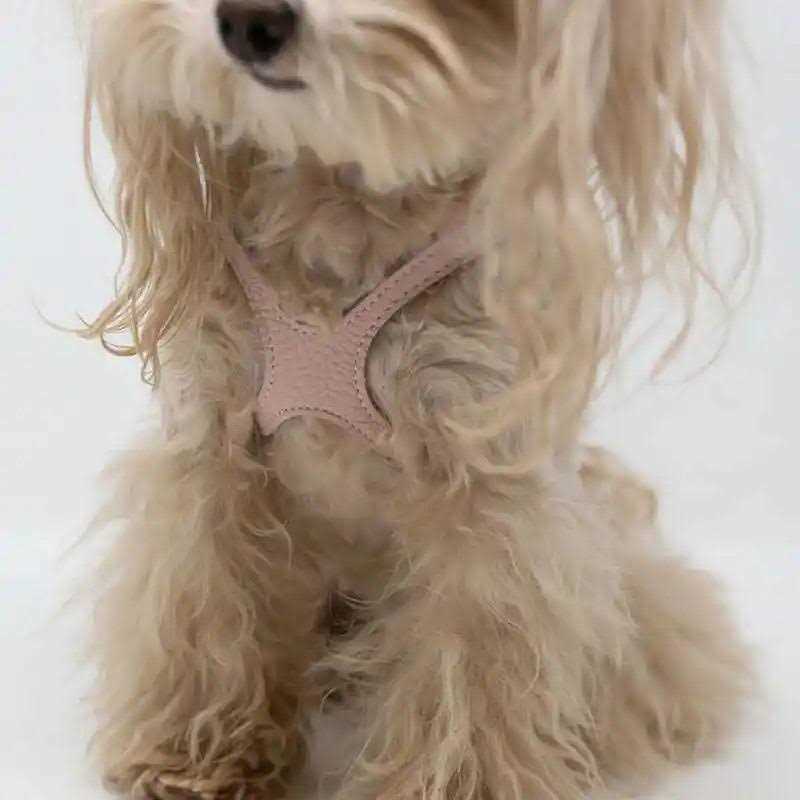 Pebble Grain Dog Harness C708315