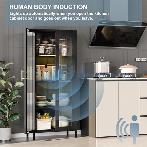 Metal Storage Cabinet with Glass Doors and LED Lights N115728
