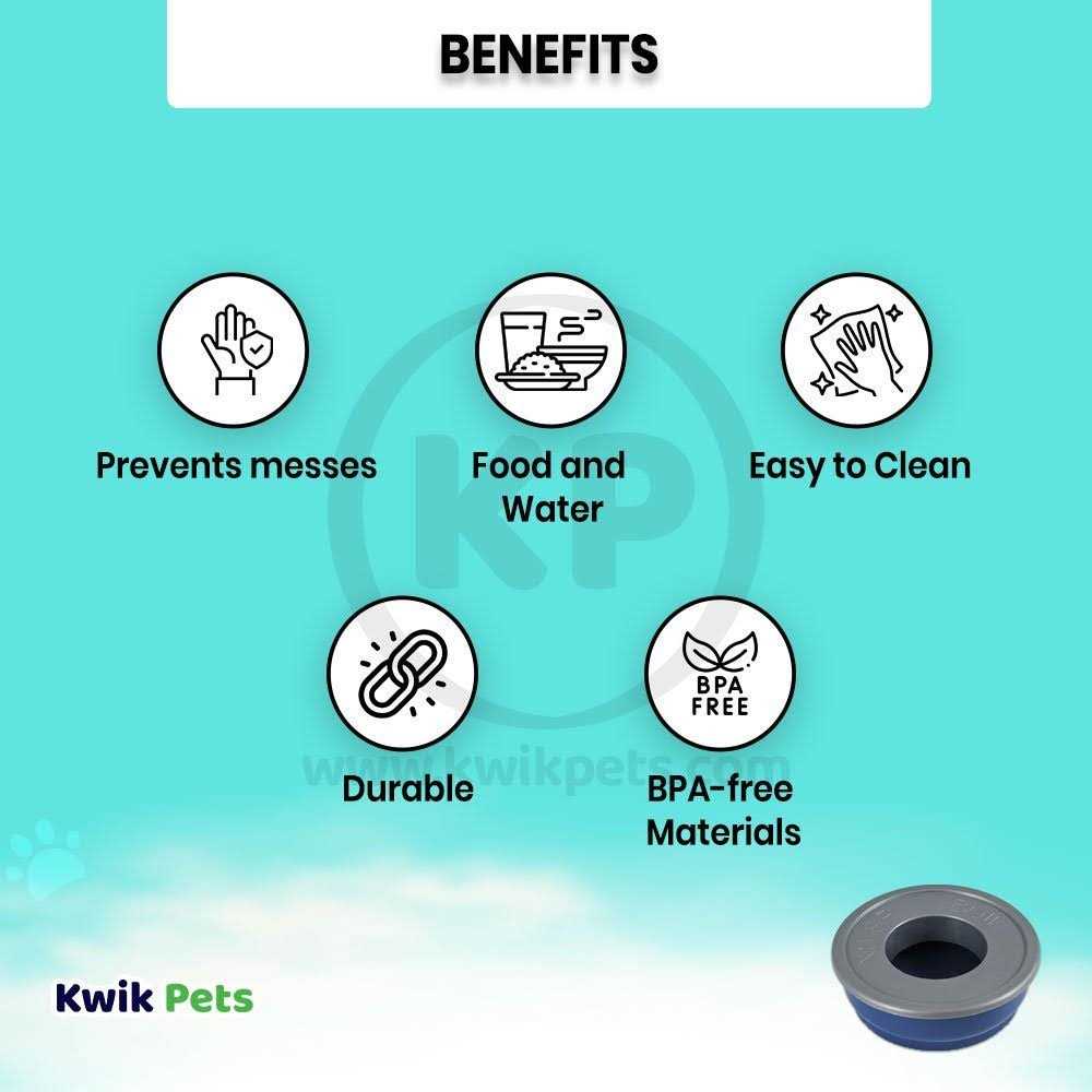 No Spill Pet Bowl Y83216