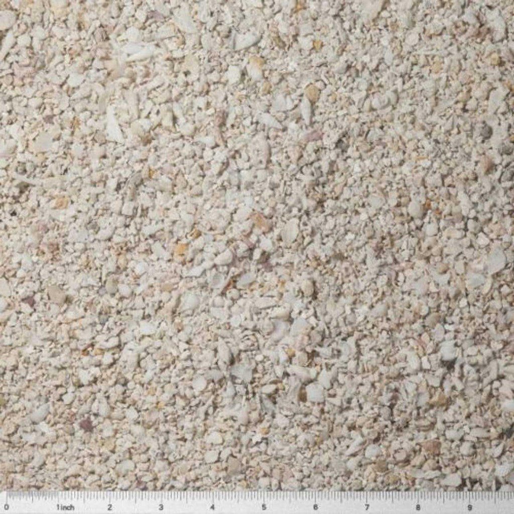 Special Grade Reef Sand for Aquariums R5663