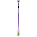 Aqueon Max Blue LED Lamp - Pet Supplies online store