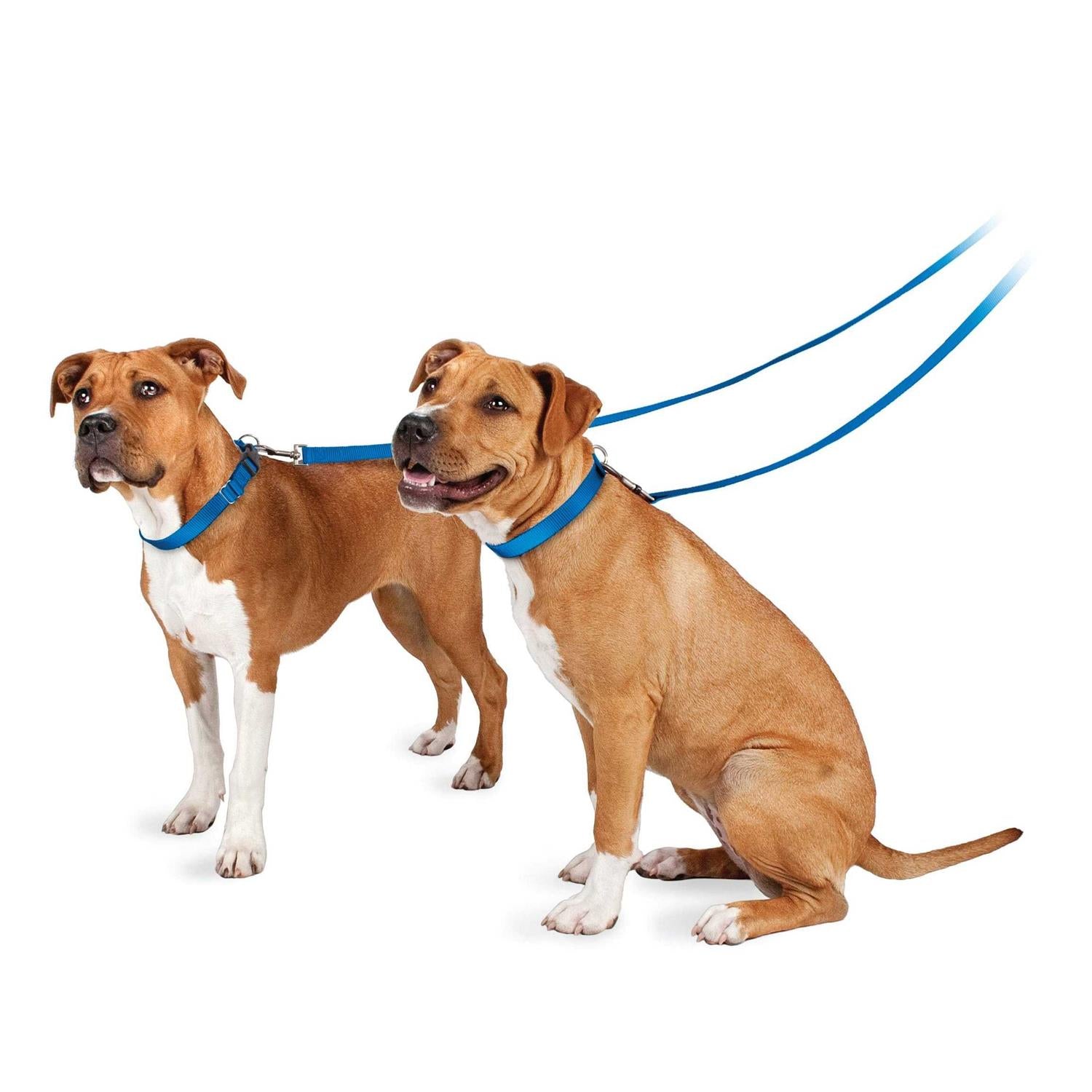 Nylon Dog Leash N6031