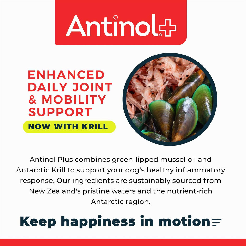 Pet Joint Supplement 60ct F79653